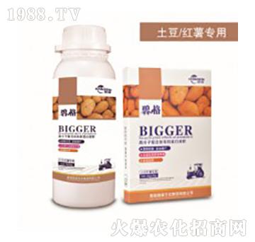 t팣ø߷ӏͺЙCҺ-̸-ɭrI