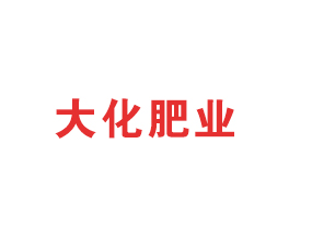 石家莊大化肥業有限公司