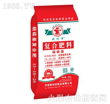 Ϲ߲ˌ(zhun)Ï(f)Ϸ15-10-20-