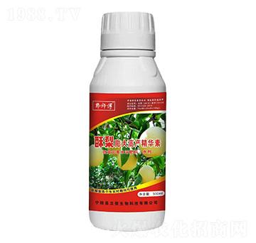 酥梨膨大高產精華素-郭師傅-立信生物
