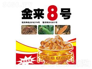 金來8號-合豐種業