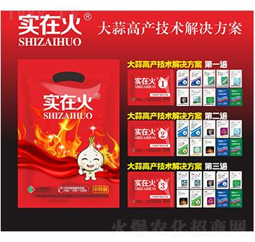 大蒜高產技術解決方案-實在火-紅太陽