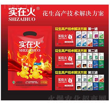 花生高產技術解決方案-實在火-紅太陽
