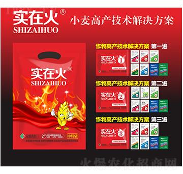 小麥高產技術解決方案-實在火-紅太陽